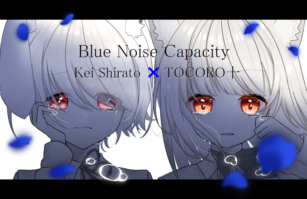 Blue Noise Capacity