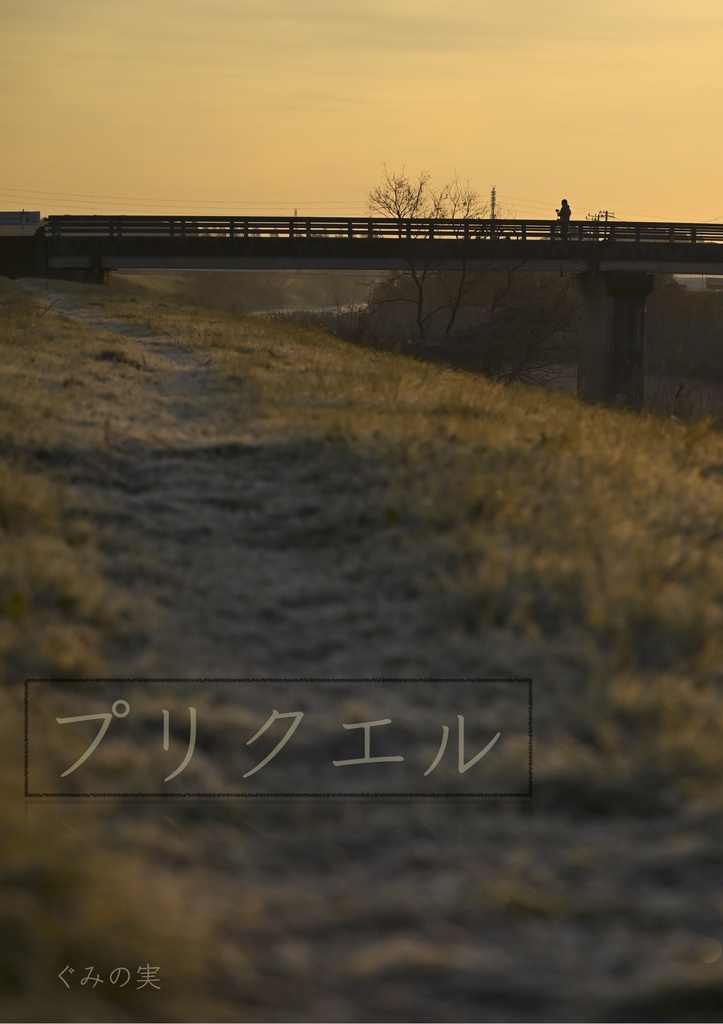 【匿名配送】プリクエル