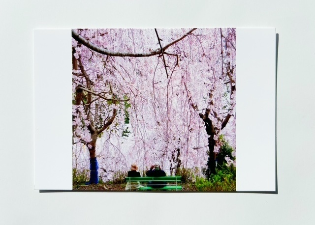 街角の記憶 -桜の下で-