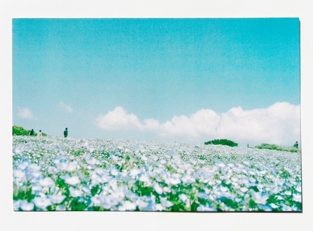 とある冒険者の記録 ー空に浮かぶ花畑ー