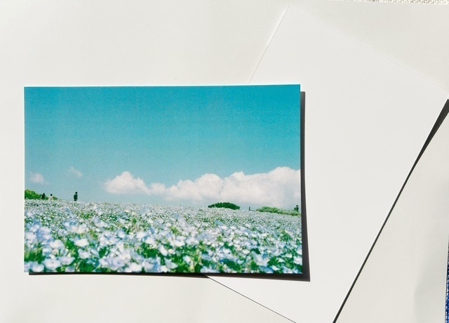 とある冒険者の記録 ー空に浮かぶ花畑ー