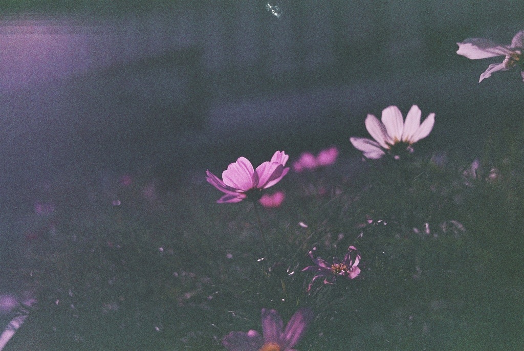 街角の記憶 ー妖精郷の噂ー