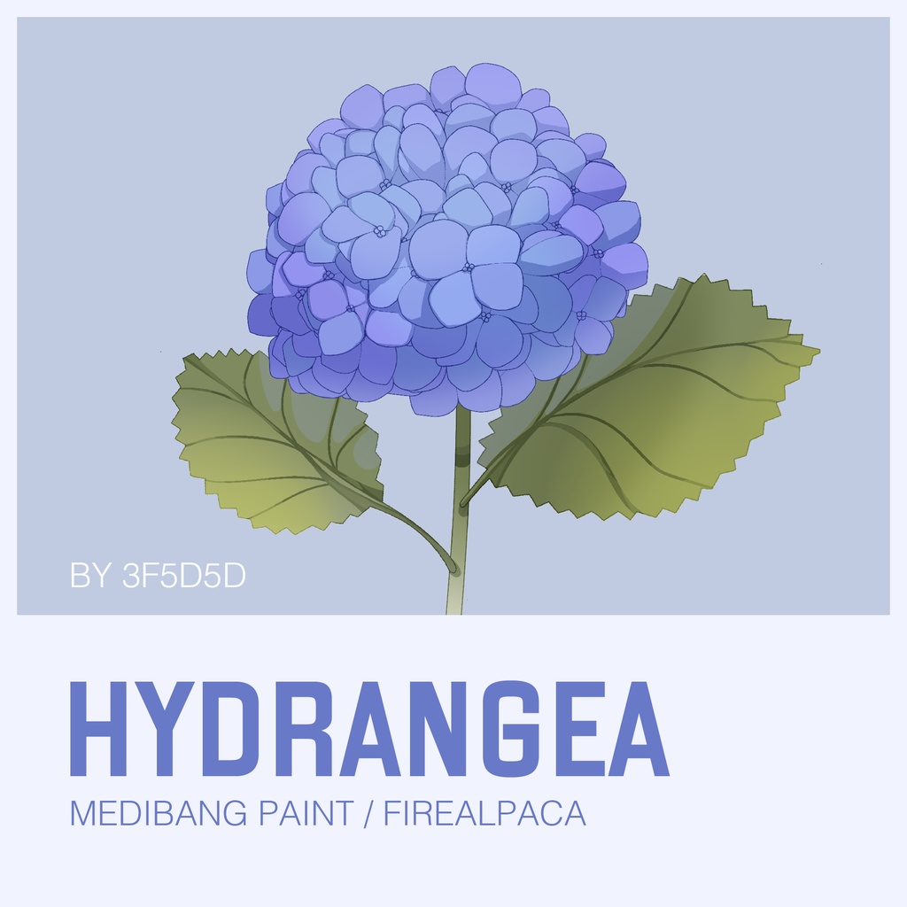 Hydrangea MediBang Paint and Firealpaca Brush (あじさいブラシ）