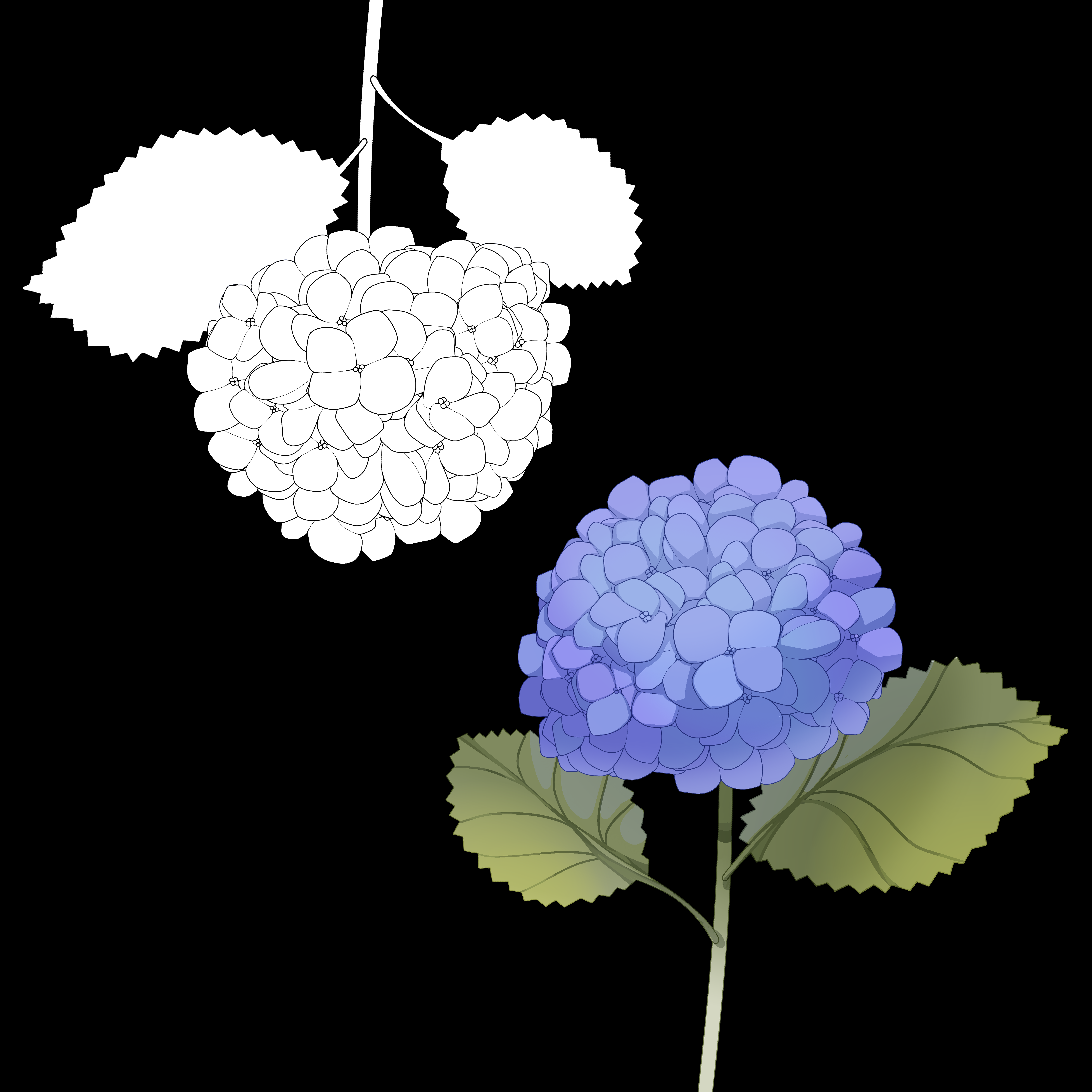 Hydrangea MediBang Paint and Firealpaca Brush (あじさいブラシ） - 3f5d5d - BOOTH