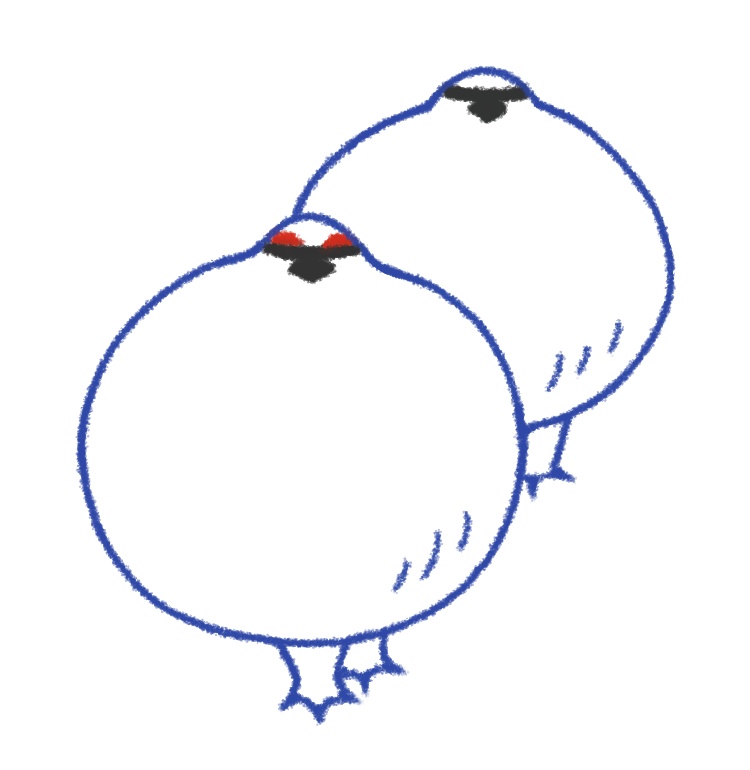 らいちょうさんセット