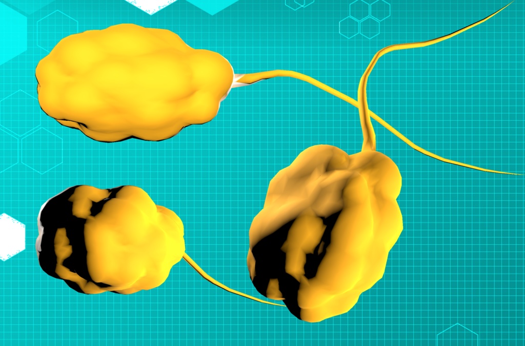 【3Dモデル】筋斗雲