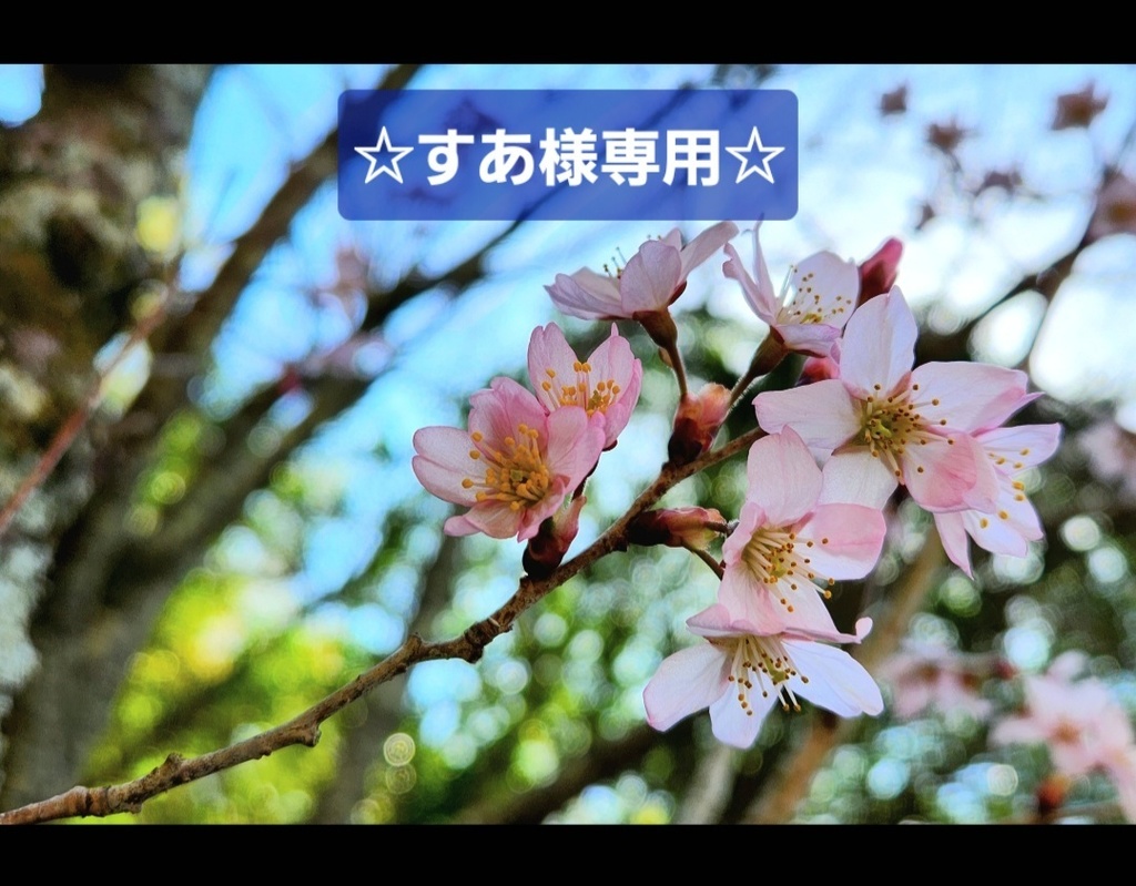 すあ様専用(すあさまonly)