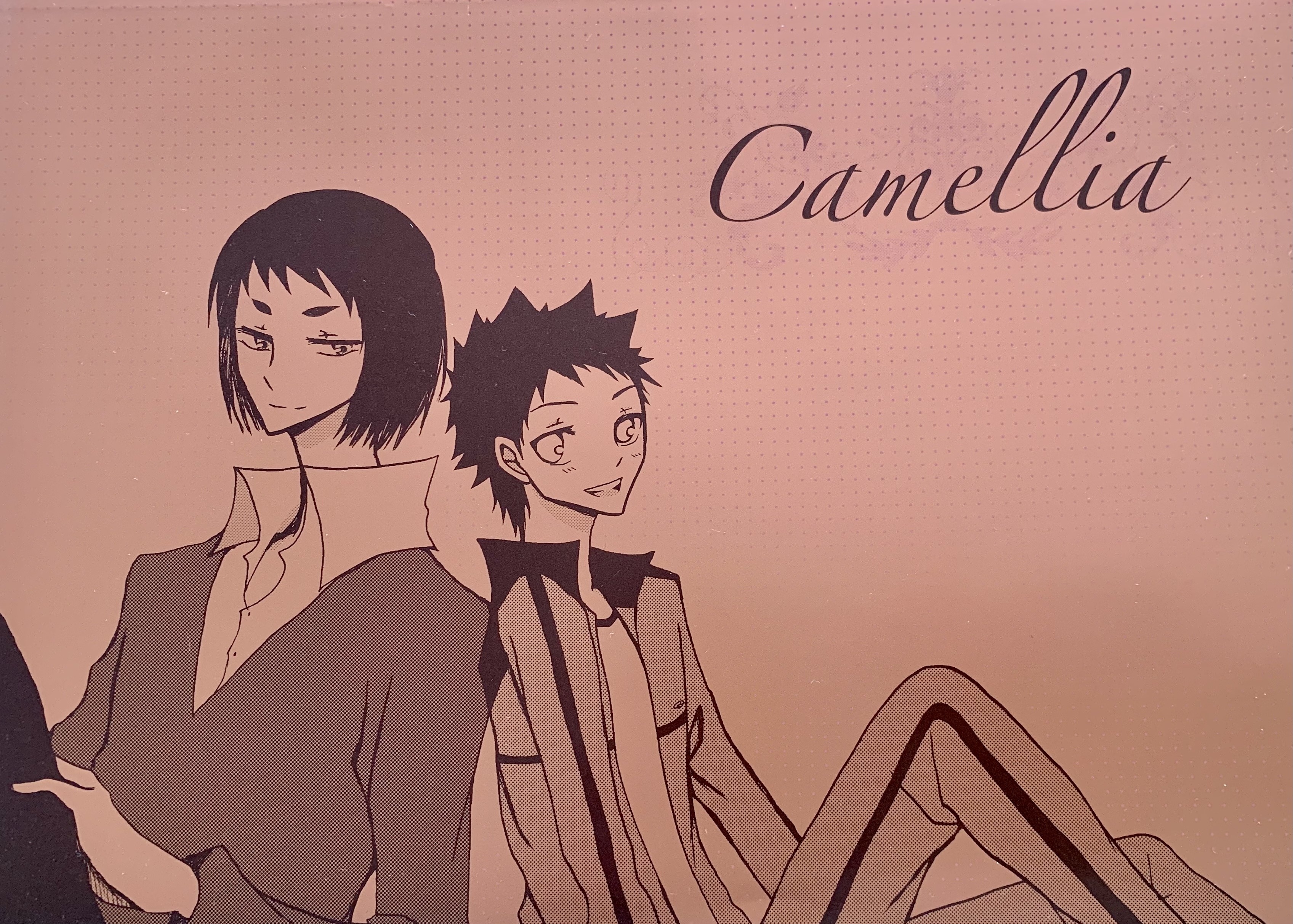 Camellia