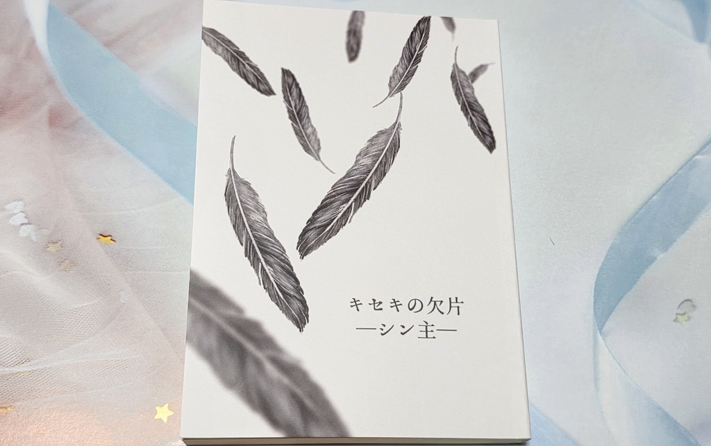 キセキの欠片/シン主