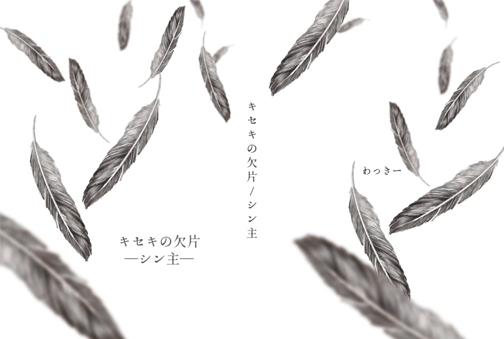 キセキの欠片／シン主