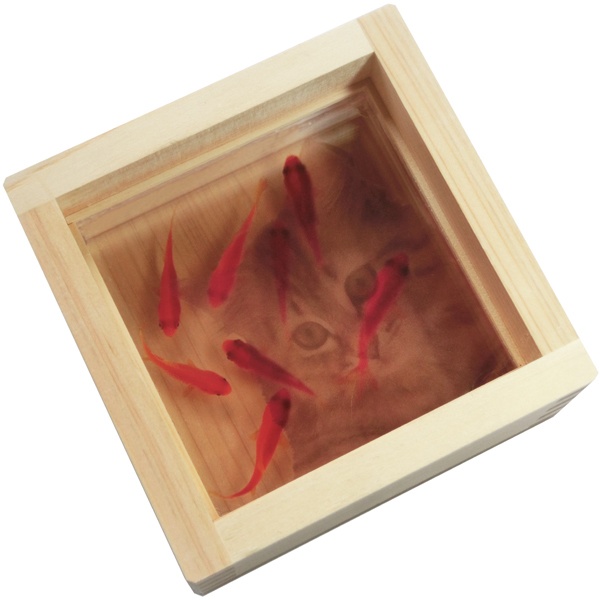 ひのきアート 樹脂金魚 3D金魚 子猫 「咲/ねこ」【プレゼント付き】 誕生日 結婚 【こだわりと安心の純日本製】