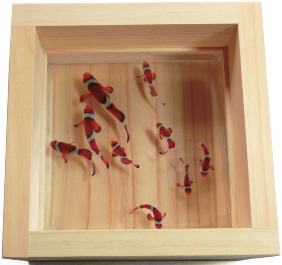 アクリルアート 3D金魚 「結」 【プレゼント付き】 還暦祝い 長寿 縁起物【こだわりと安心の純日本製】