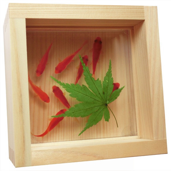 金魚 ひのきアート 咲 紅葉 緑 もみじ 桧 還暦祝い 誕生日 結婚 男性 女性 プレゼント ギフト 贈り物