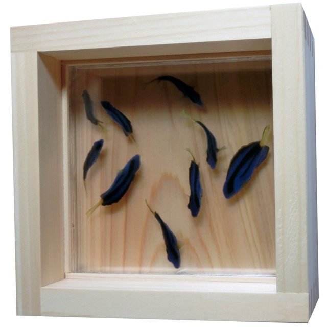 アクリル アート 悠 ドリー 還暦 誕生日 結婚 男性 女性 海 プレゼント ギフト 贈り物 母の日