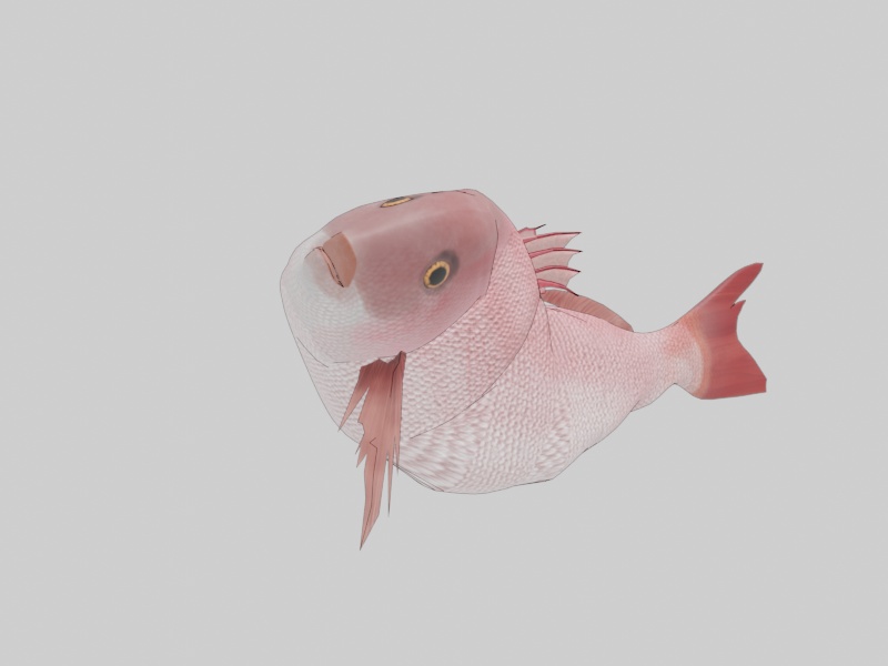 【3Dモデル】鯛