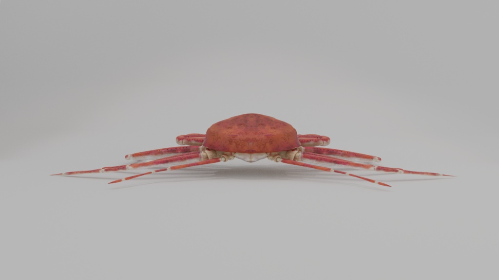 【3Dモデル】カニ