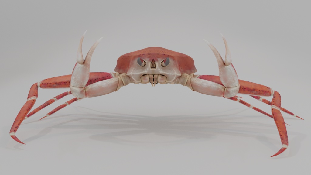 【3Dモデル】カニ