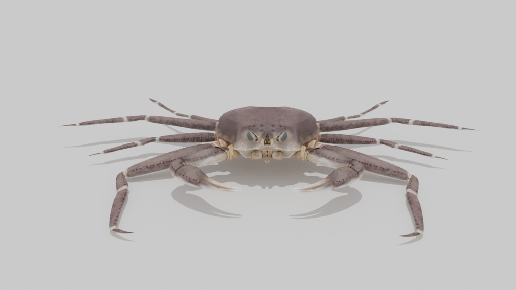 【3Dモデル】カニ