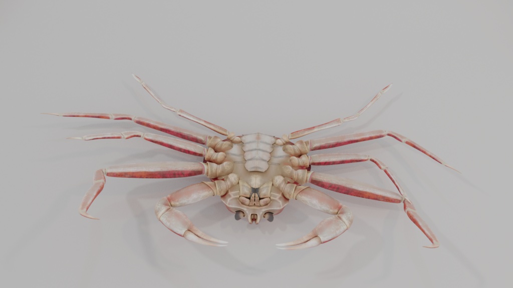 【3Dモデル】カニ