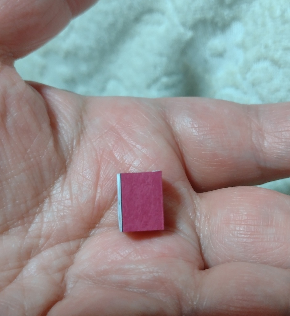 「最小の宰相の本」