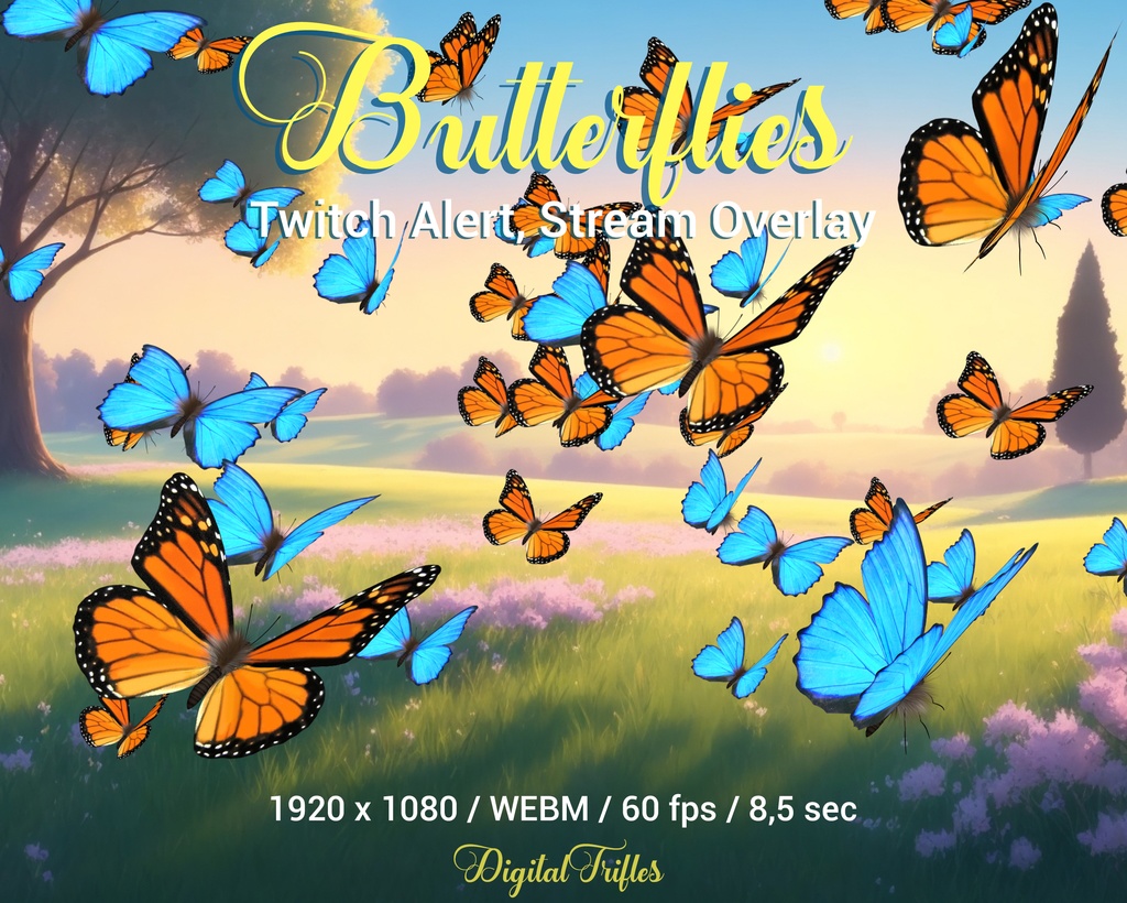 Butterfly Twitch オーバーレイのアニメーション ストリーム装飾、全画面アラート、美しい青とオレンジの蝶、透明な背景 / Butterfly Twitch overlay animated stream decoration, full screen alert