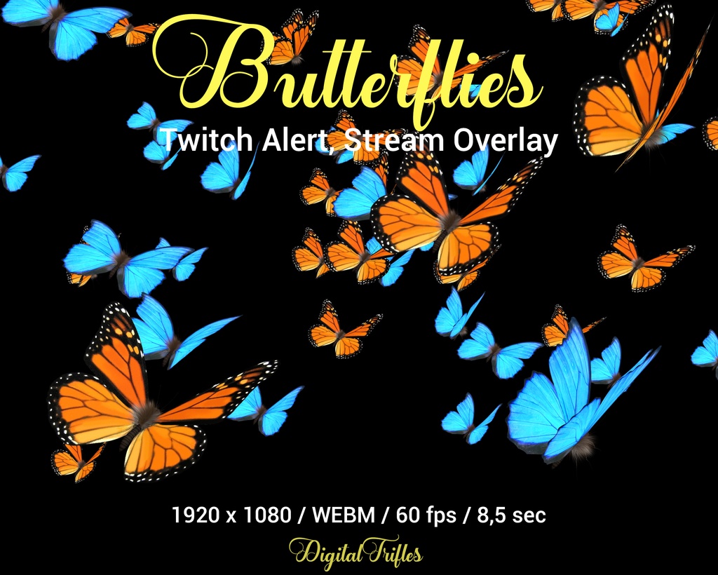 Butterfly Twitch オーバーレイのアニメーション ストリーム装飾、全画面アラート、美しい青とオレンジの蝶、透明な背景 / Butterfly Twitch overlay animated stream decoration, full screen alert