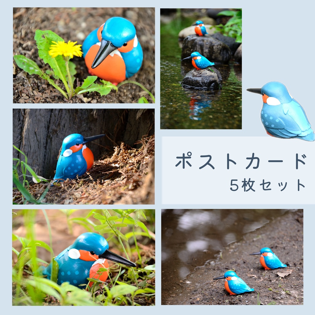 カワセミポストカード
