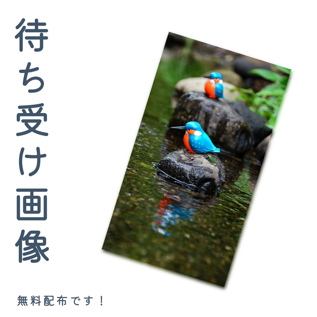 カワセミの待ち受け画像