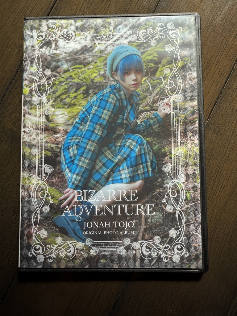 BIZZARE ADVENTURE DVD-R 写真集