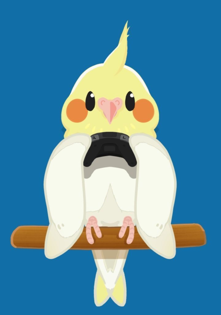 【汎用モデル】ゲームもできる オカメインコ