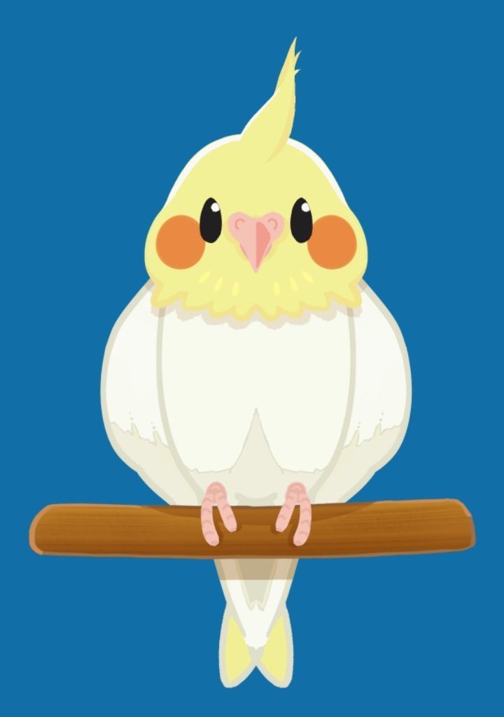 【汎用モデル】ゲームもできる オカメインコ