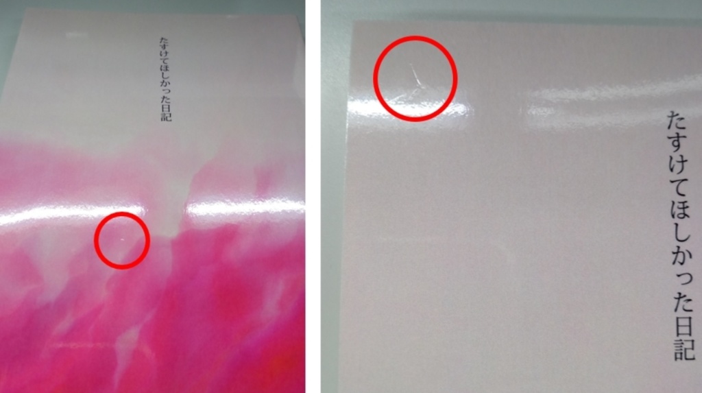 たすけてほしかった日記(⚠️訳あり品)