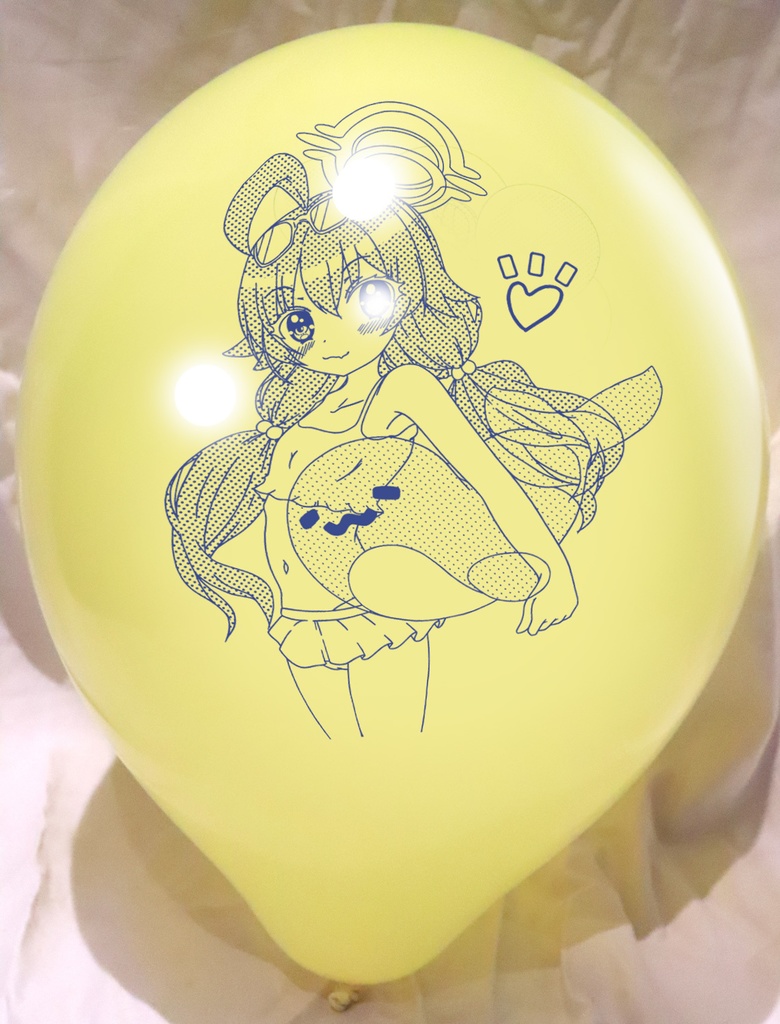 イラスト風船入門編セット【エバーツ製風船の旧作セット】