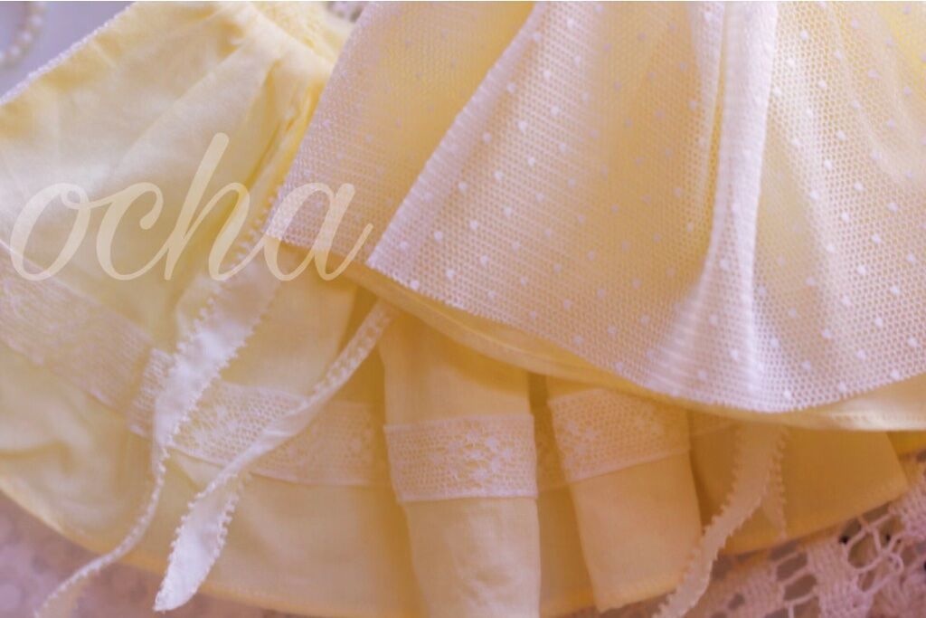 夏のデイジー🌼【売り切れ】