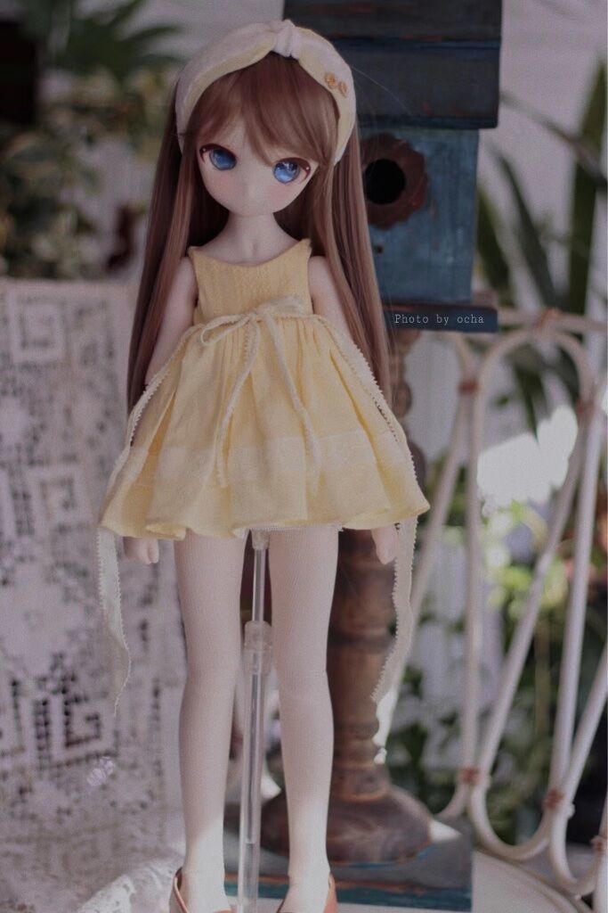 夏のデイジー🌼【売り切れ】