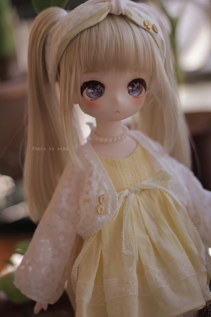 夏のデイジー🌼【売り切れ】