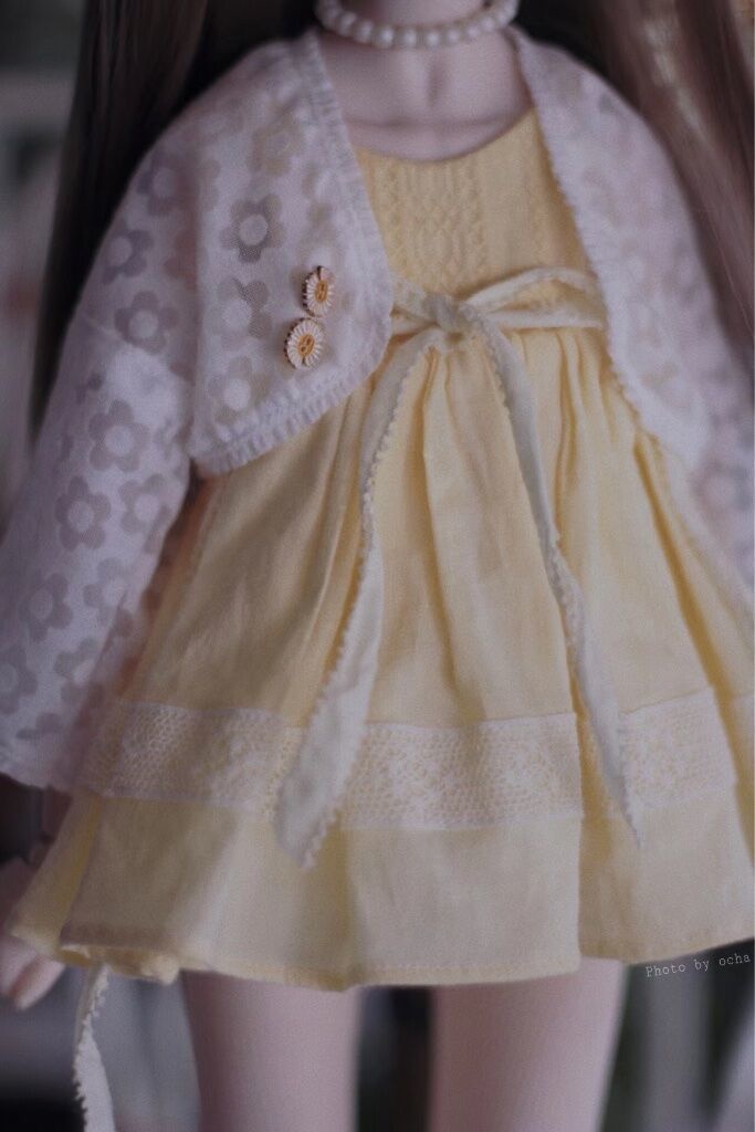 夏のデイジー🌼【売り切れ】