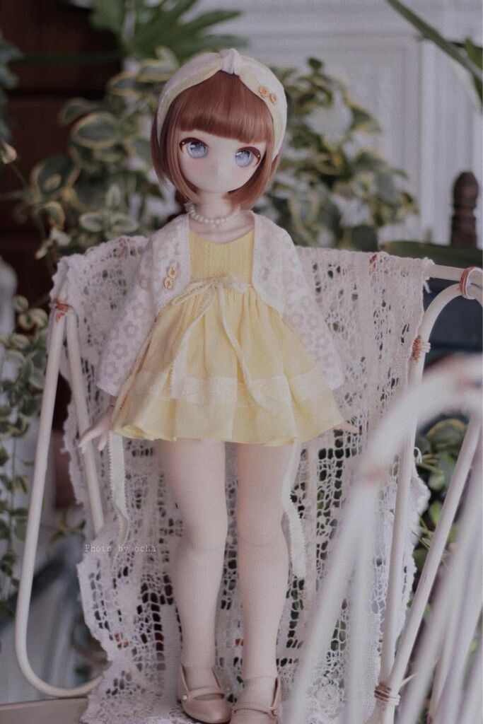 夏のデイジー🌼【売り切れ】