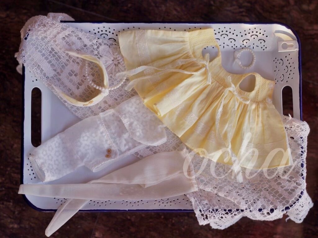 夏のデイジー🌼【売り切れ】