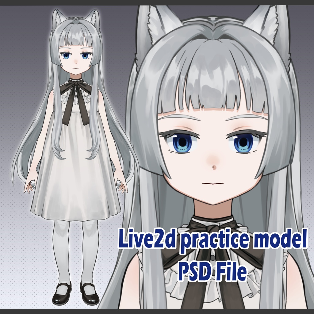 【Live2D】Practice model_練習用パーツ分け済 PSD File_W chan