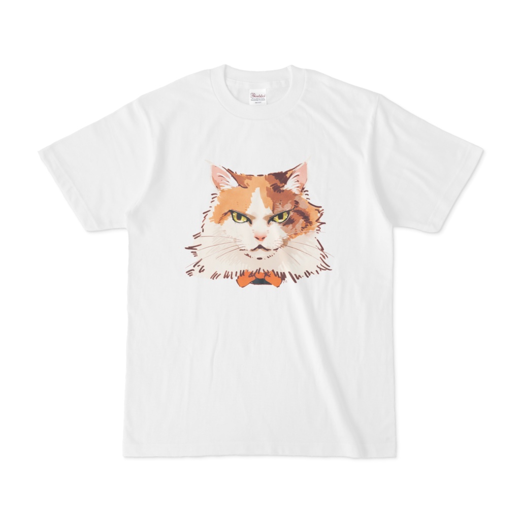 実家の猫1