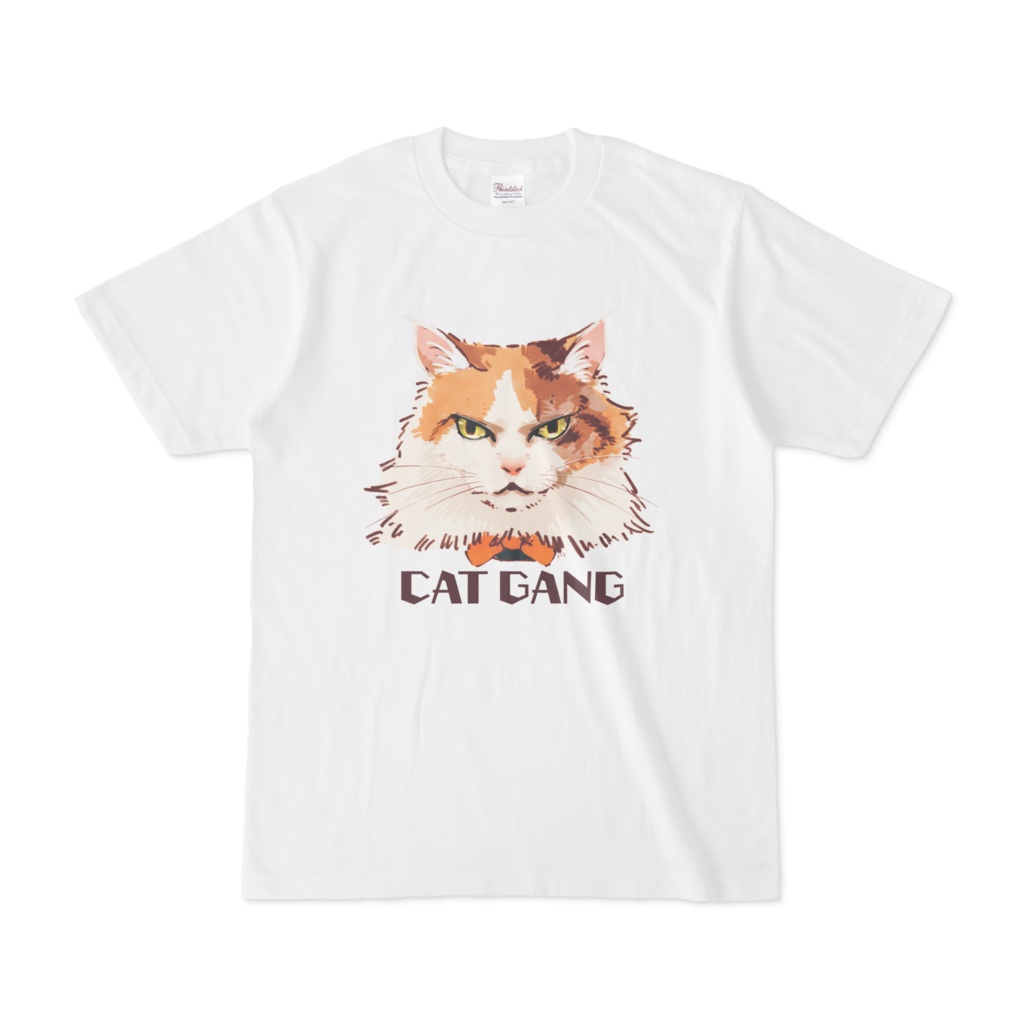 実家の猫1 (CAT GANG)