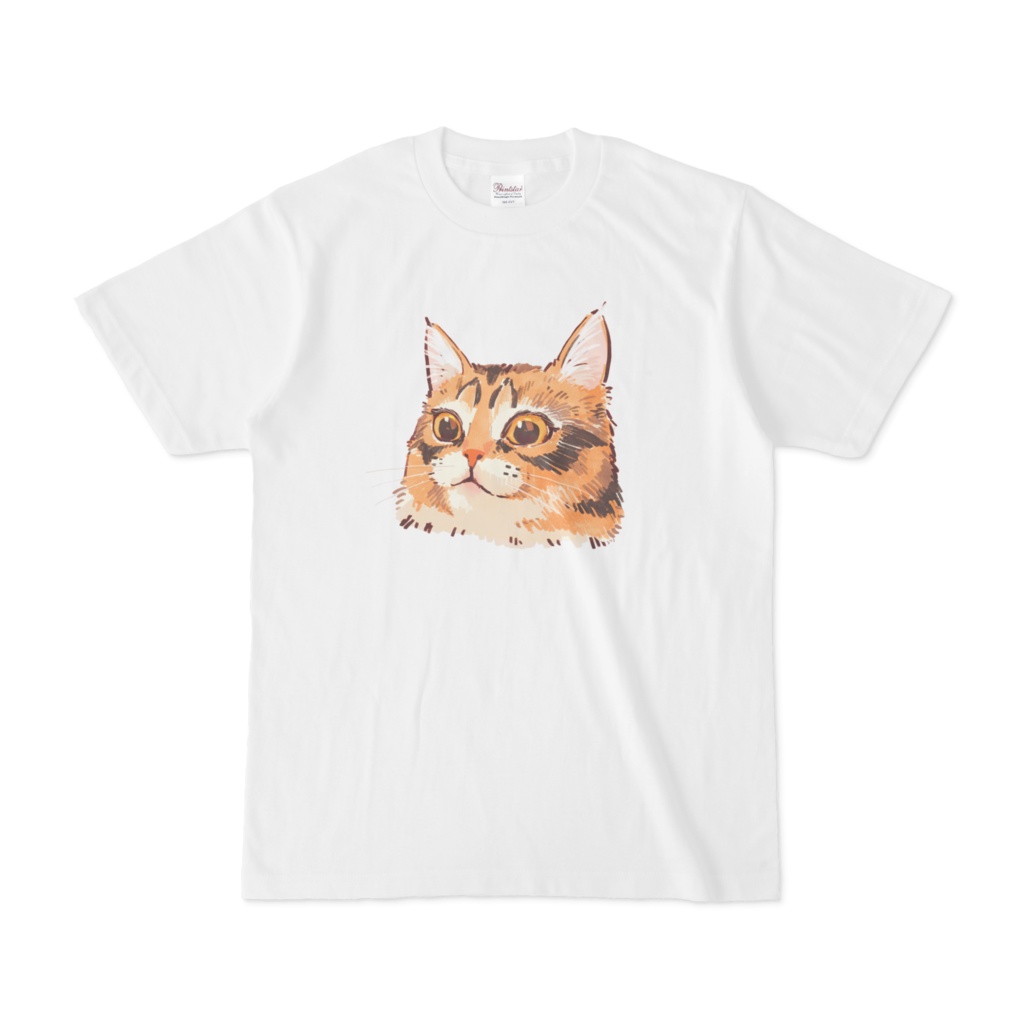 実家の猫2