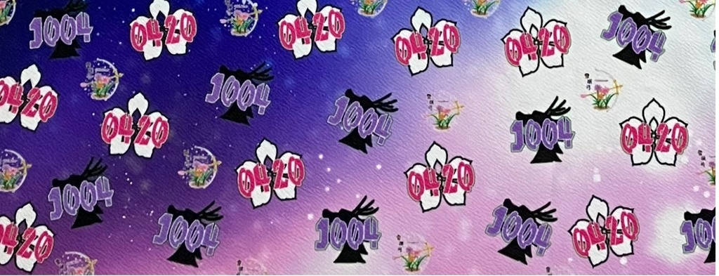 *限定セット* 変化奏功-逆らう子の夢- ☆ラスト1点☆