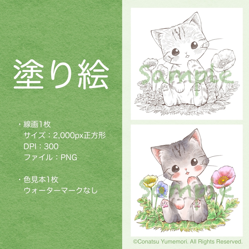  塗り絵『Flower-Poppy-』