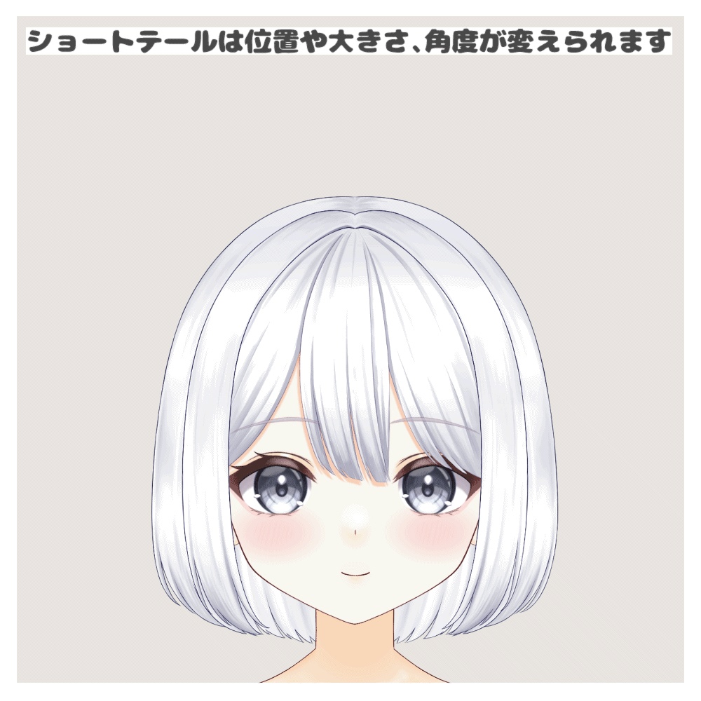 【VTS/nizimaLIVE対応】カスタム汎用モデル10【Live2Dモデル】