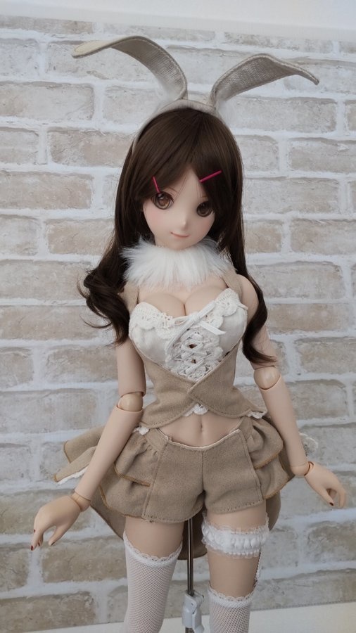 DD秋冬バニードレスセット