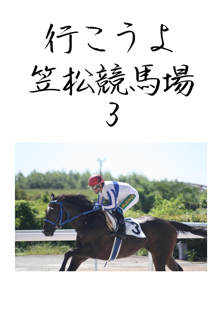 行こうよ笠松競馬3