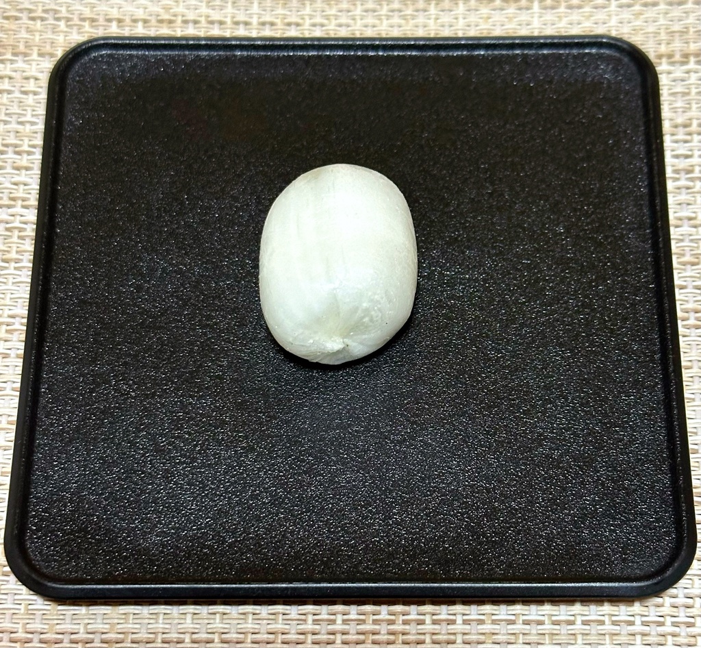 2025年北海道あさひかわ菓子博記念特大バッジ付き シマエ大福の大きなミルク飴