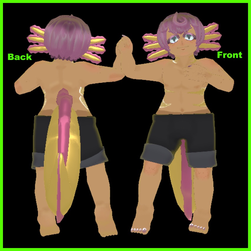 (Original 3D Model) Milo the axolotl